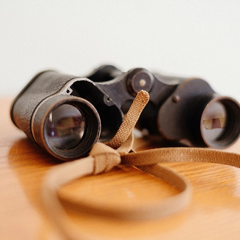 Comment choisir un logiciel pour le suivi budgétaire de projet