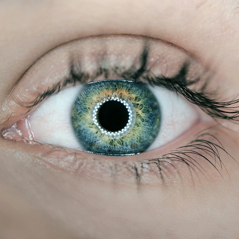 Optimiser le conseil en gestion pour les entreprises de taille moyenne et les grandes corporations