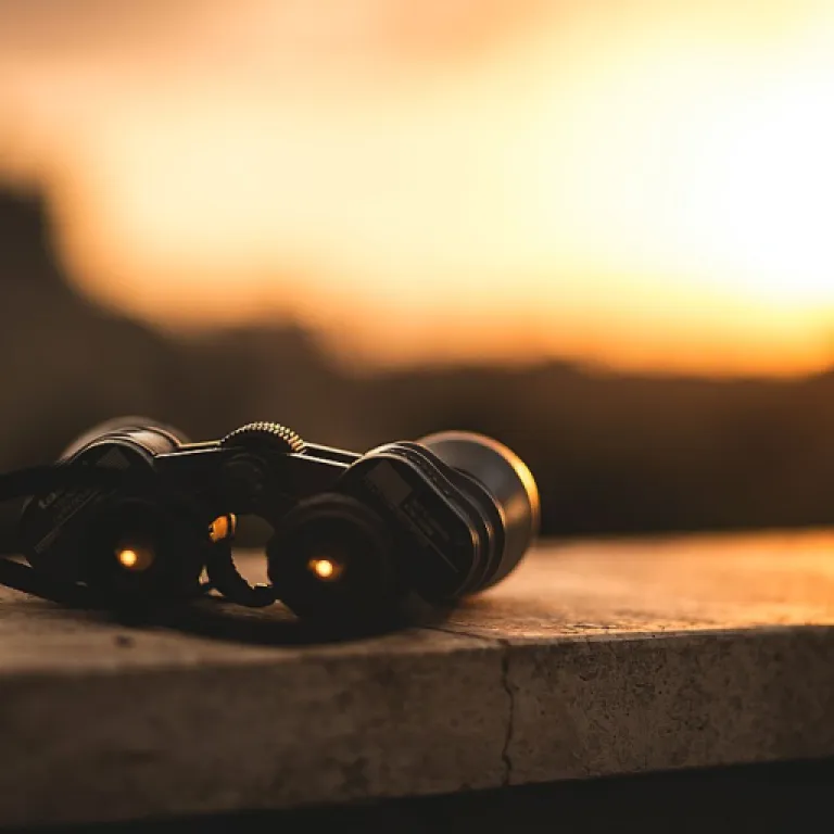 Choisir entre le cloud et l’on premise : enjeux pour les PMO en entreprise de taille moyenne et grande