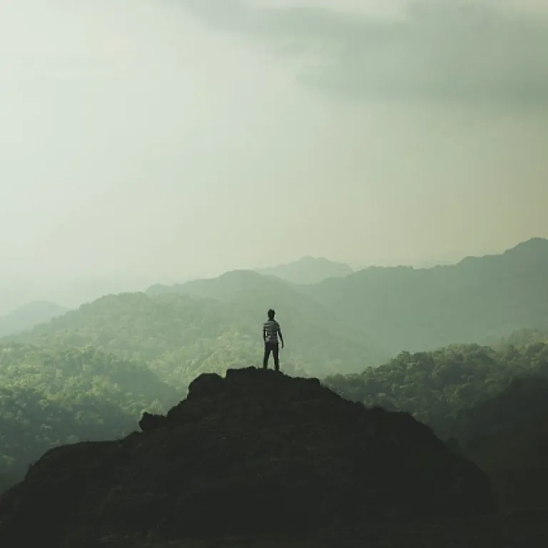 Réussir le changement de bureau : enjeux et solutions pour les PMO en entreprise