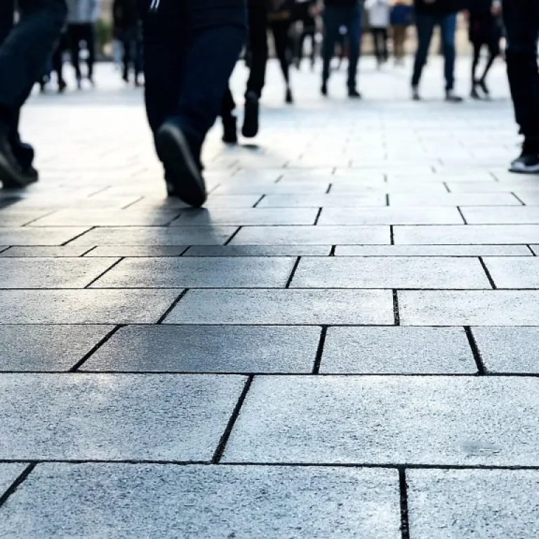 Ce qu’il faut savoir sur les avantages et inconvénients du métier de conseiller en insertion professionnelle